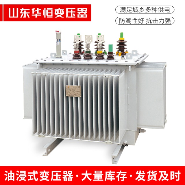 S13-10000/35抚顺抚顺抚顺电力变压器